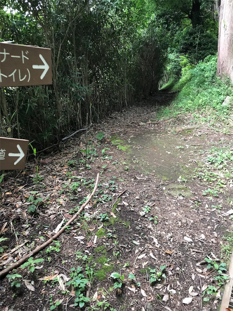 f:id:hatakofuru:20170701161818j:image f:id:hatakofuru:20170701161818j:image
