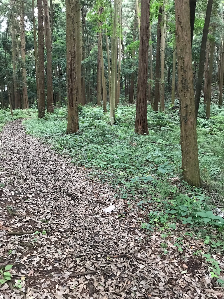 f:id:hatakofuru:20170701165559j:image f:id:hatakofuru:20170701165559j:image