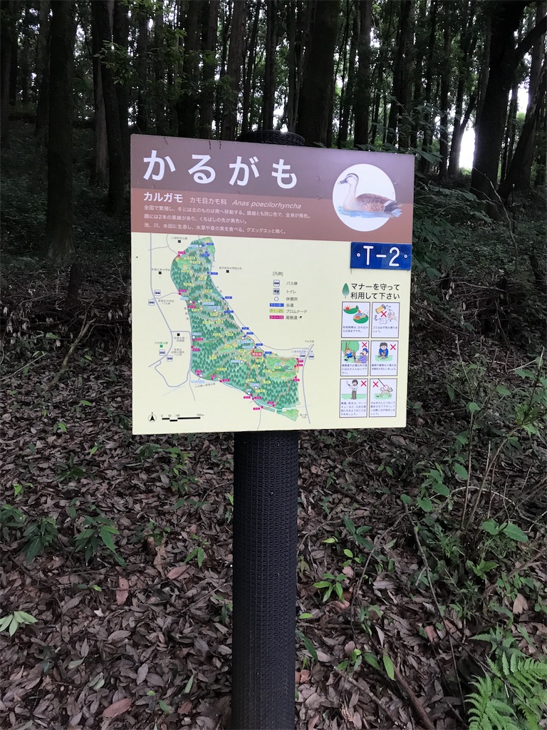 f:id:hatakofuru:20170701170049j:image f:id:hatakofuru:20170701170049j:image