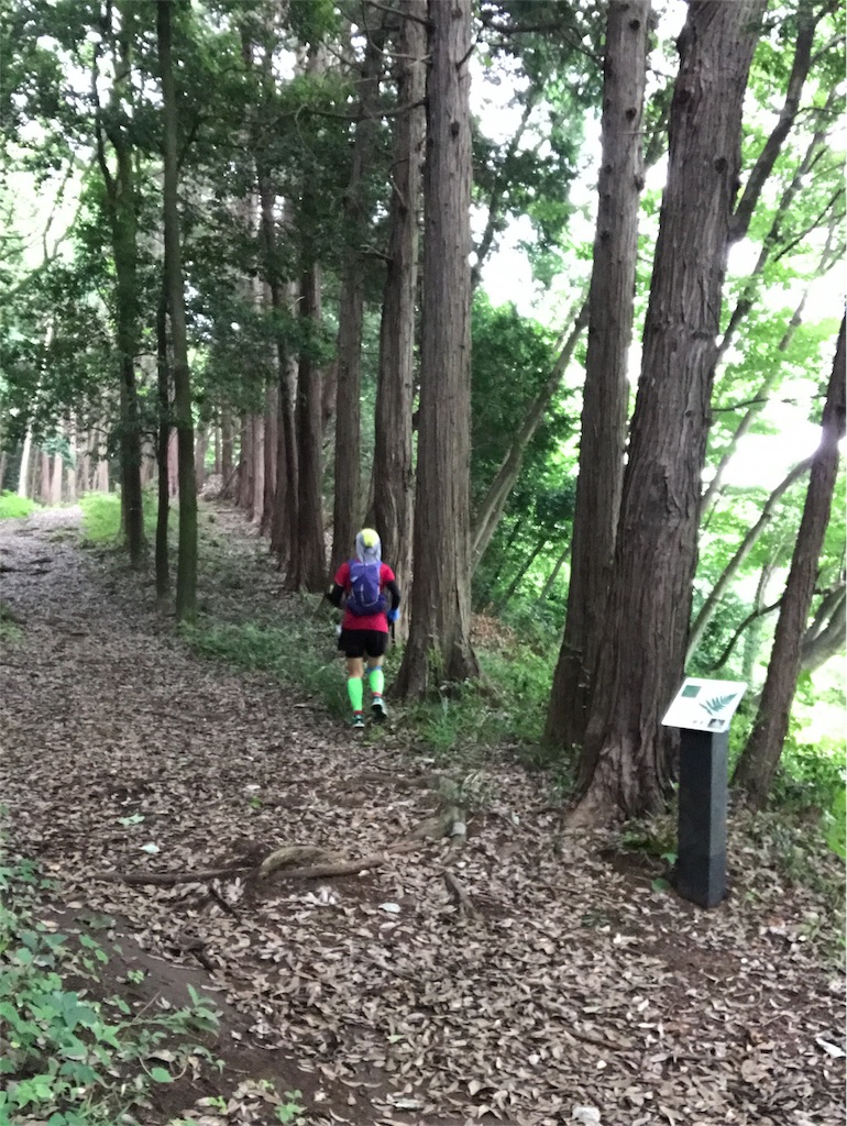 f:id:hatakofuru:20170701170209j:image f:id:hatakofuru:20170701170209j:image