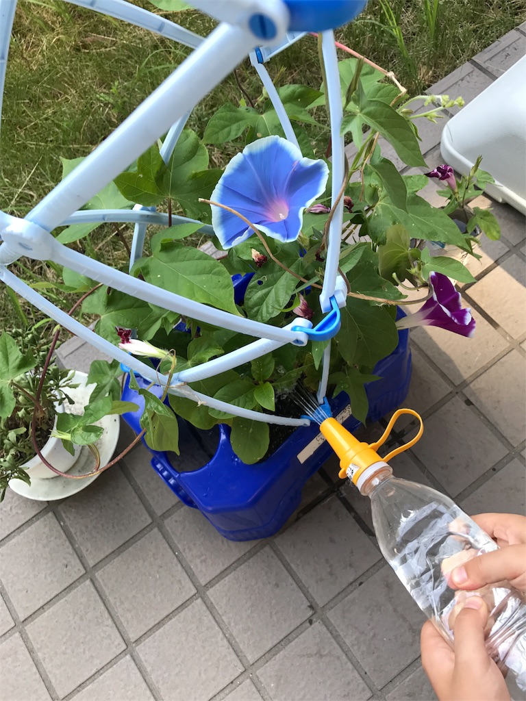 f:id:hatakofuru:20170715180353j:image