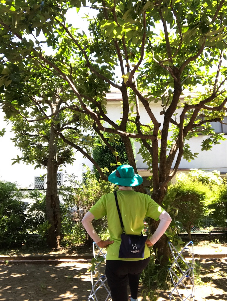 f:id:hatakofuru:20170715180438j:image