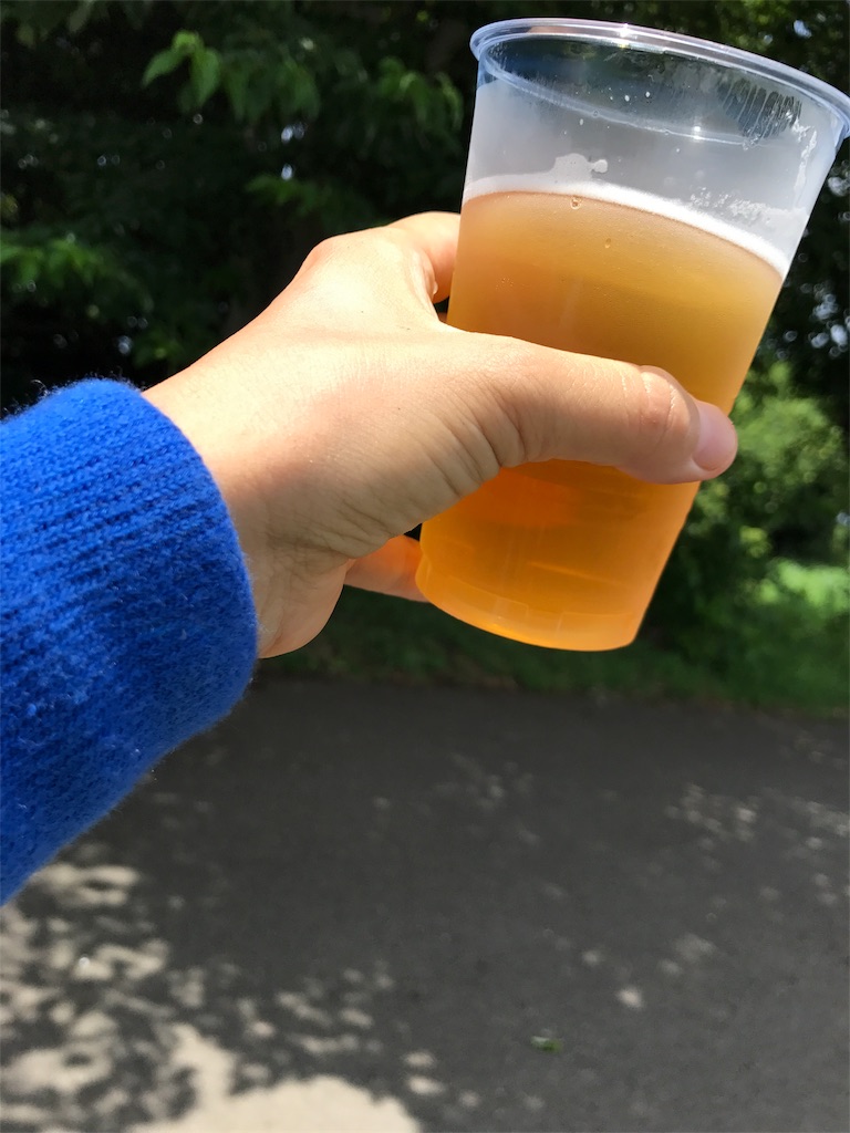 f:id:hatakofuru:20170731075806j:image