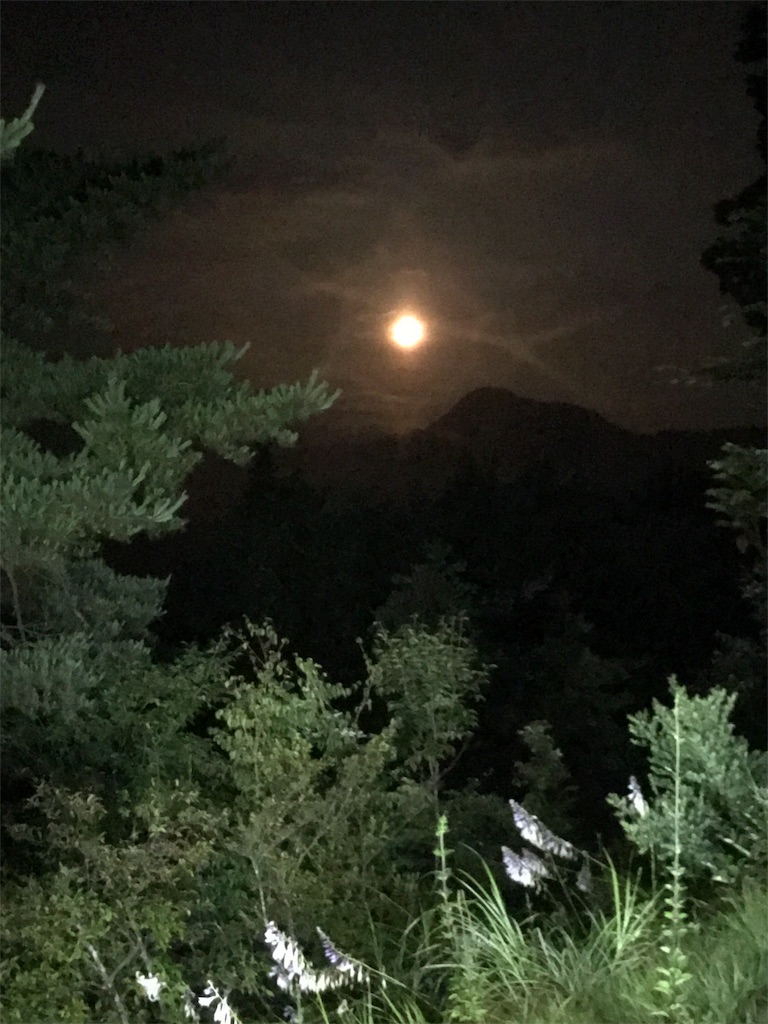 f:id:hatakofuru:20170807223244j:image