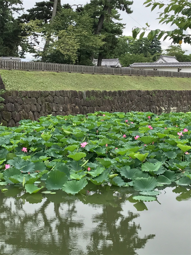 f:id:hatakofuru:20170817234847j:image