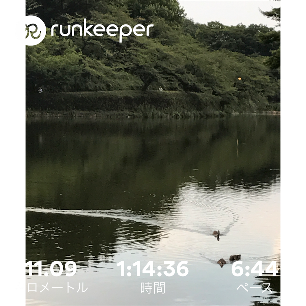 f:id:hatakofuru:20170823070928p:image