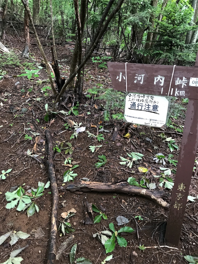 f:id:hatakofuru:20170903200800j:image