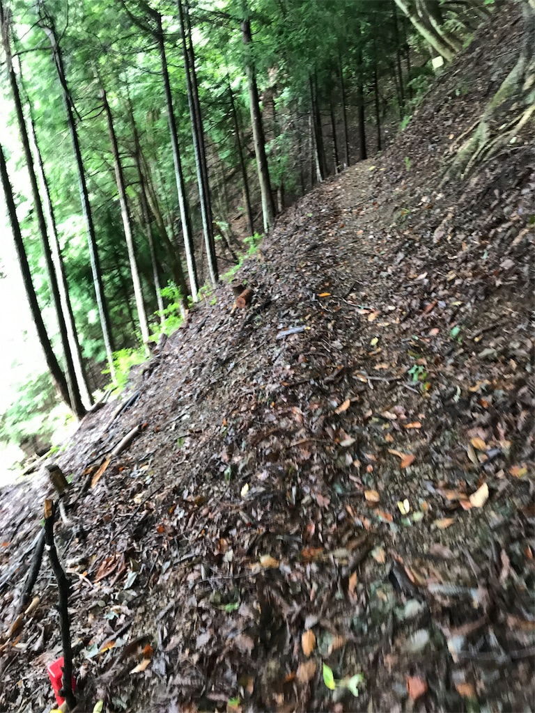f:id:hatakofuru:20170903200925j:image