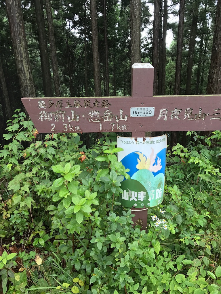 f:id:hatakofuru:20170903201046j:image