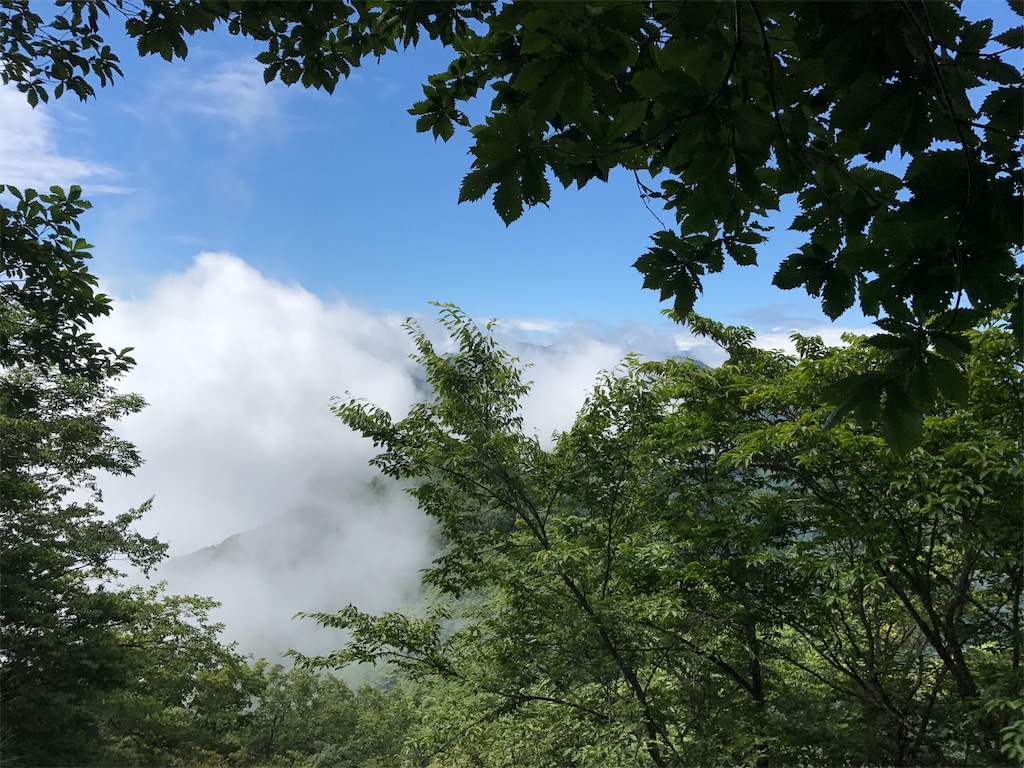 f:id:hatakofuru:20170903231225j:image f:id:hatakofuru:20170903231225j:image