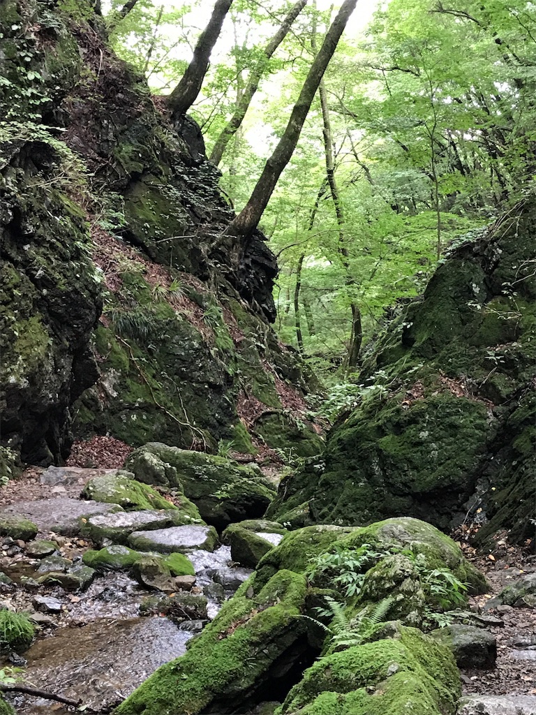 f:id:hatakofuru:20170904233414j:image f:id:hatakofuru:20170904233414j:image