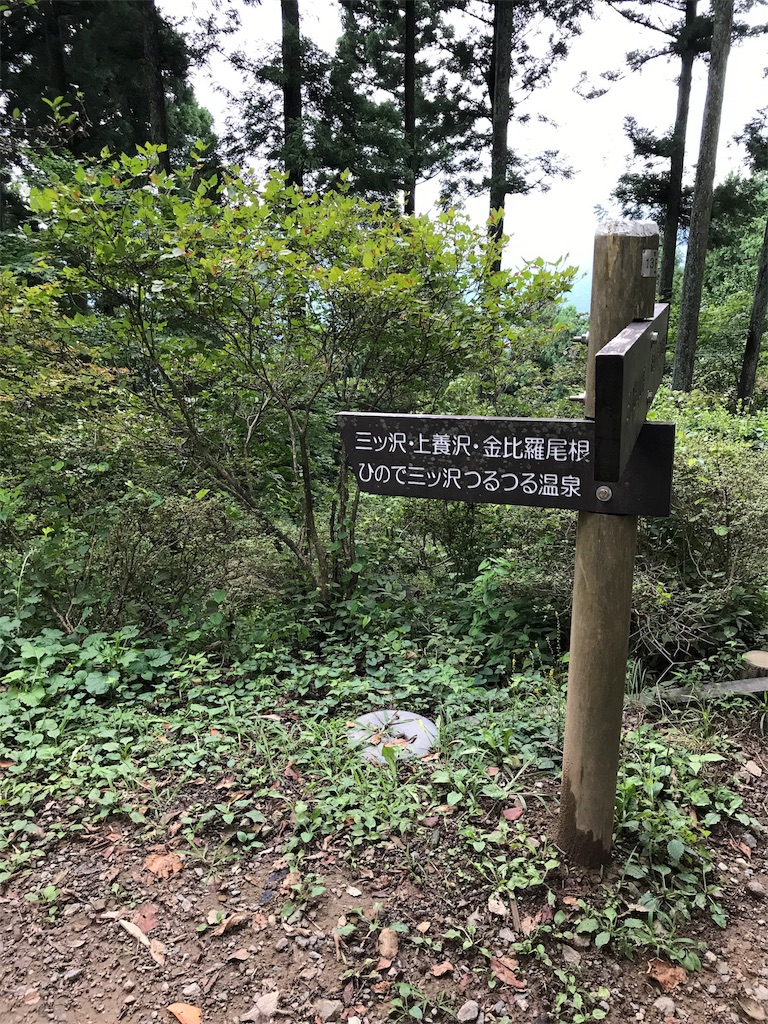 f:id:hatakofuru:20170905195406j:image