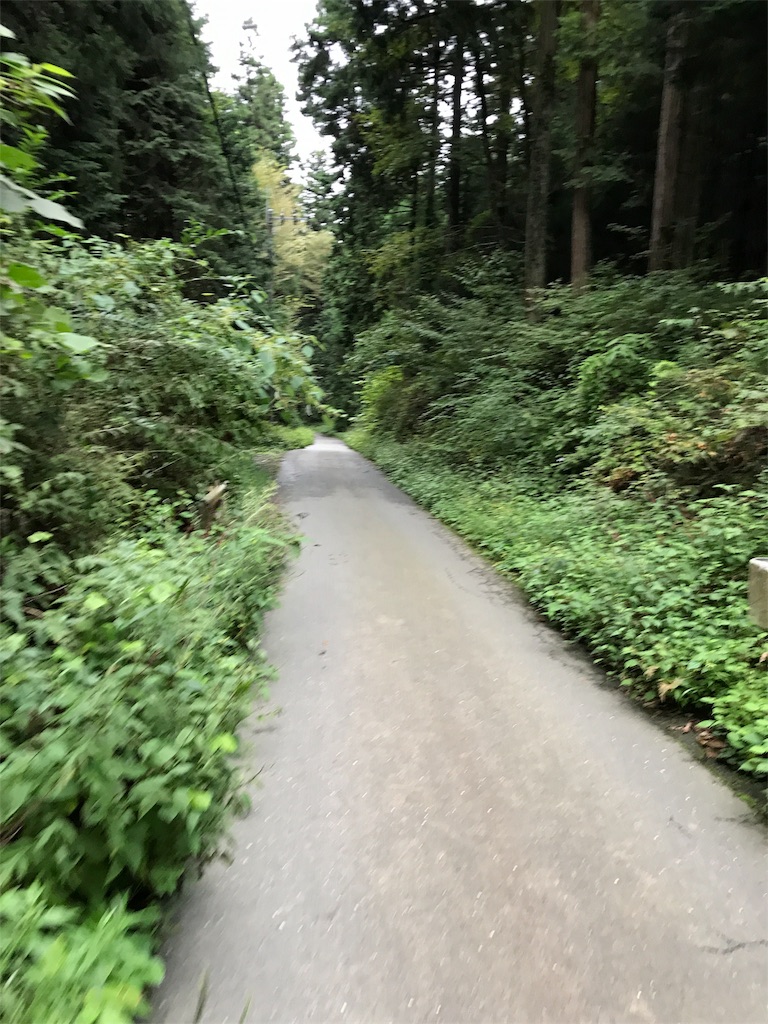 f:id:hatakofuru:20170905200741j:image