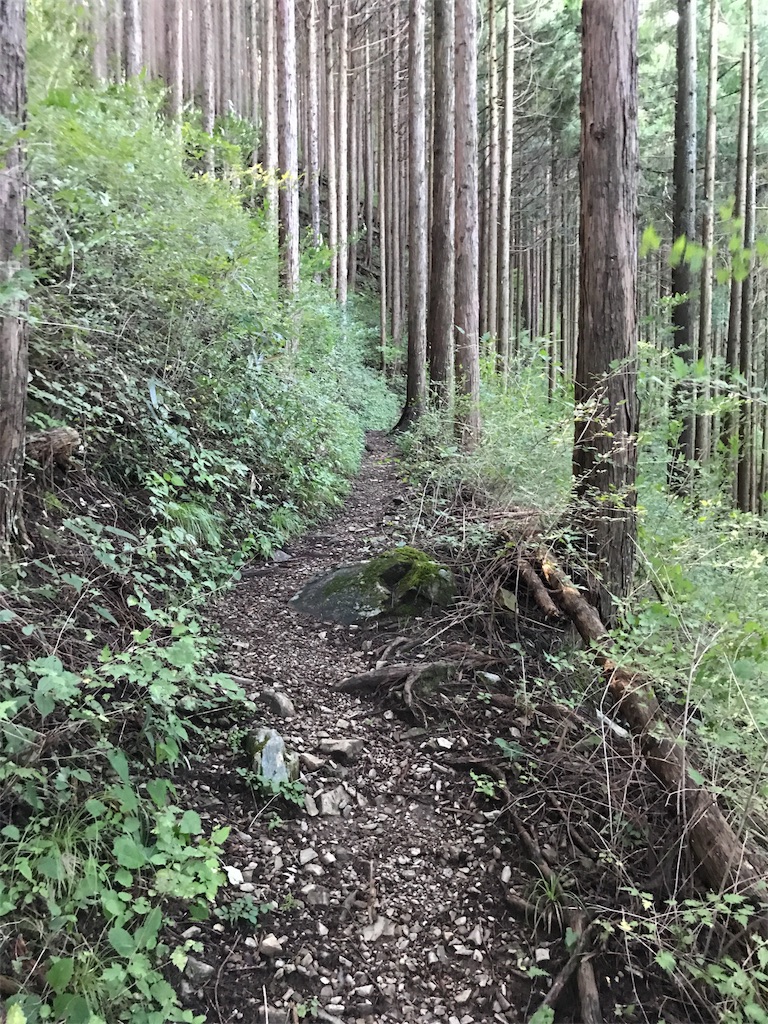 f:id:hatakofuru:20170918221754j:image