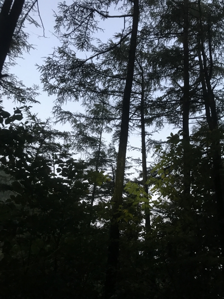 f:id:hatakofuru:20171012054725j:plain f:id:hatakofuru:20171012054725j:plain