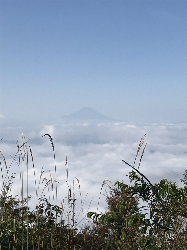 f:id:hatakofuru:20171012055306j:plain f:id:hatakofuru:20171012055306j:plain