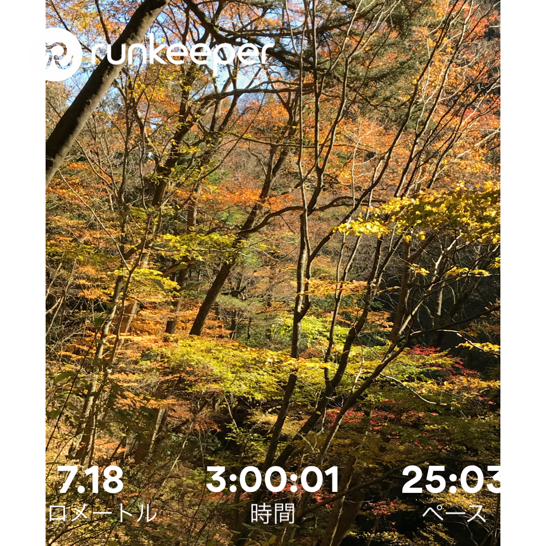 f:id:hatakofuru:20171112191635p:image