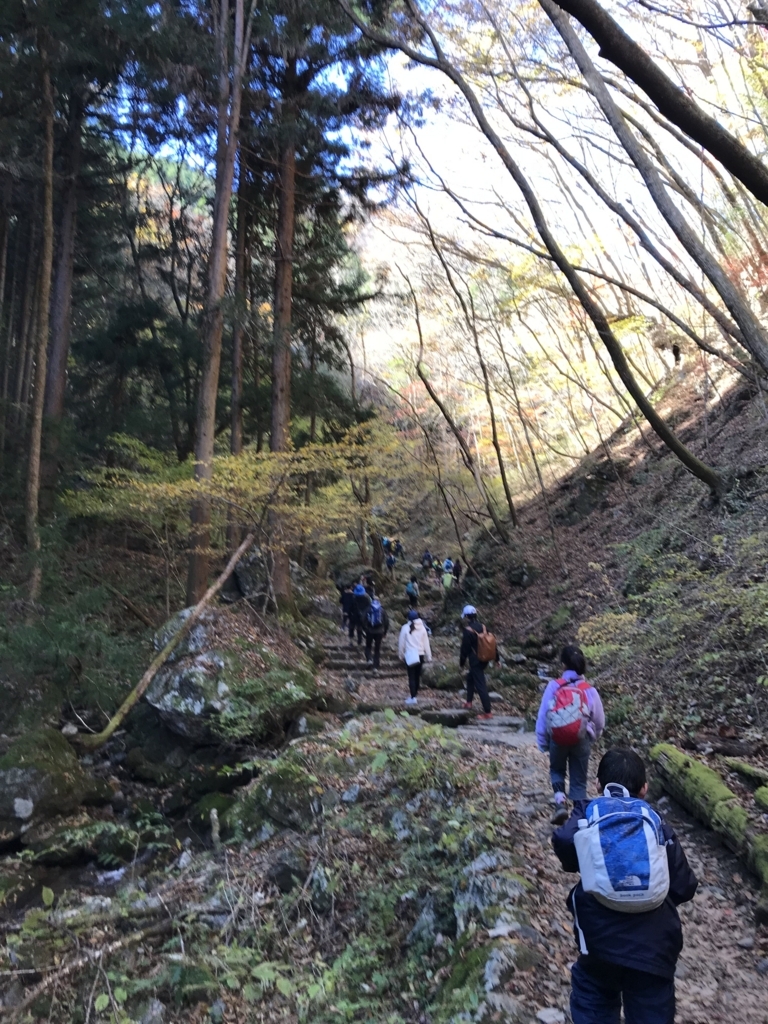 f:id:hatakofuru:20171112193917j:plain