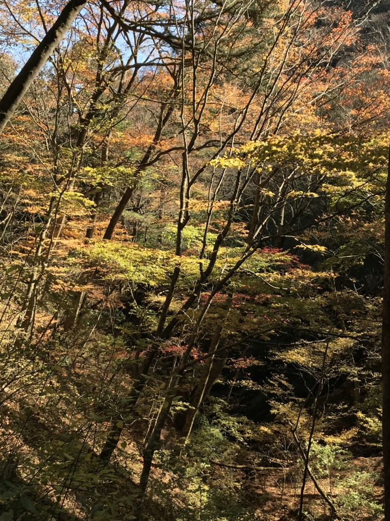 f:id:hatakofuru:20171112194737j:plain