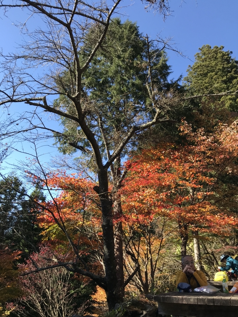f:id:hatakofuru:20171112194844j:plain