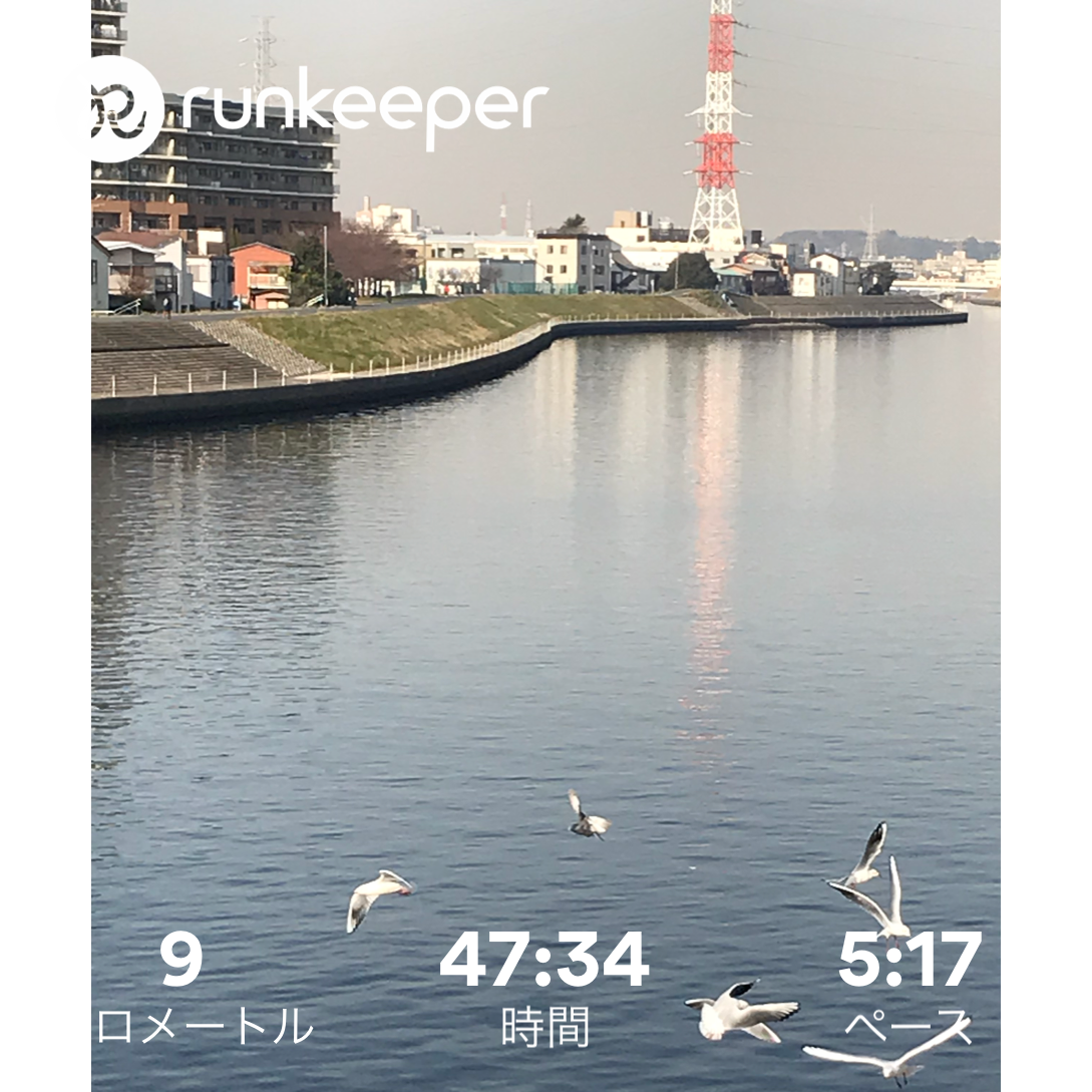 f:id:hatakofuru:20171220150310p:image