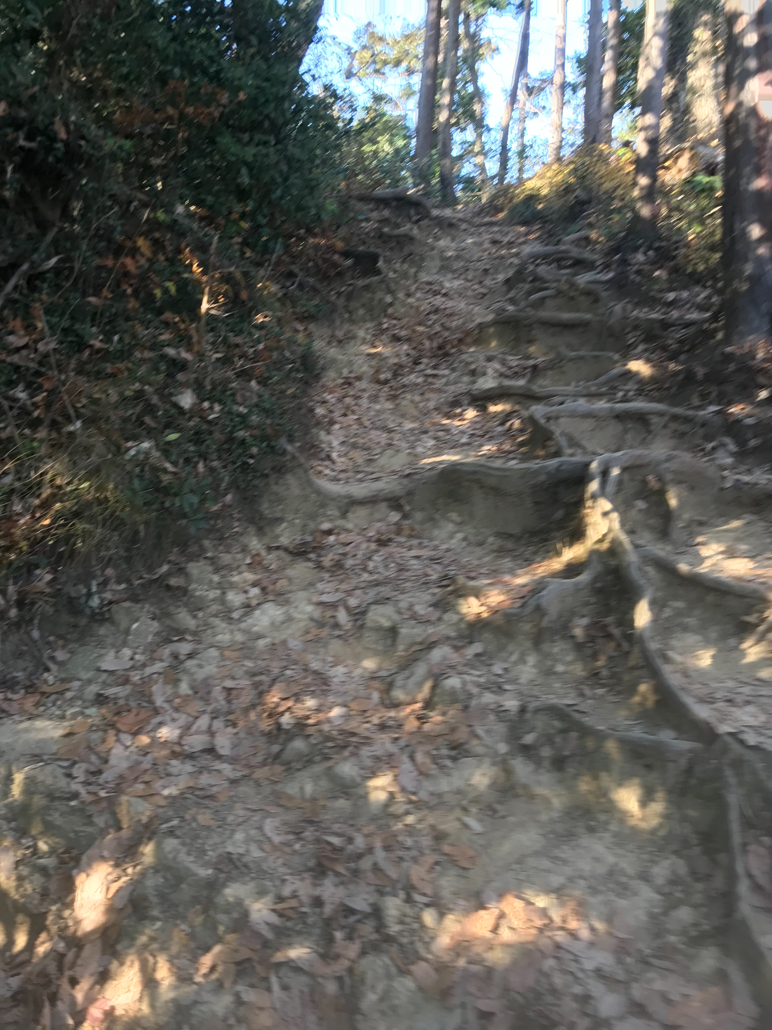 f:id:hatakofuru:20171225202342j:image