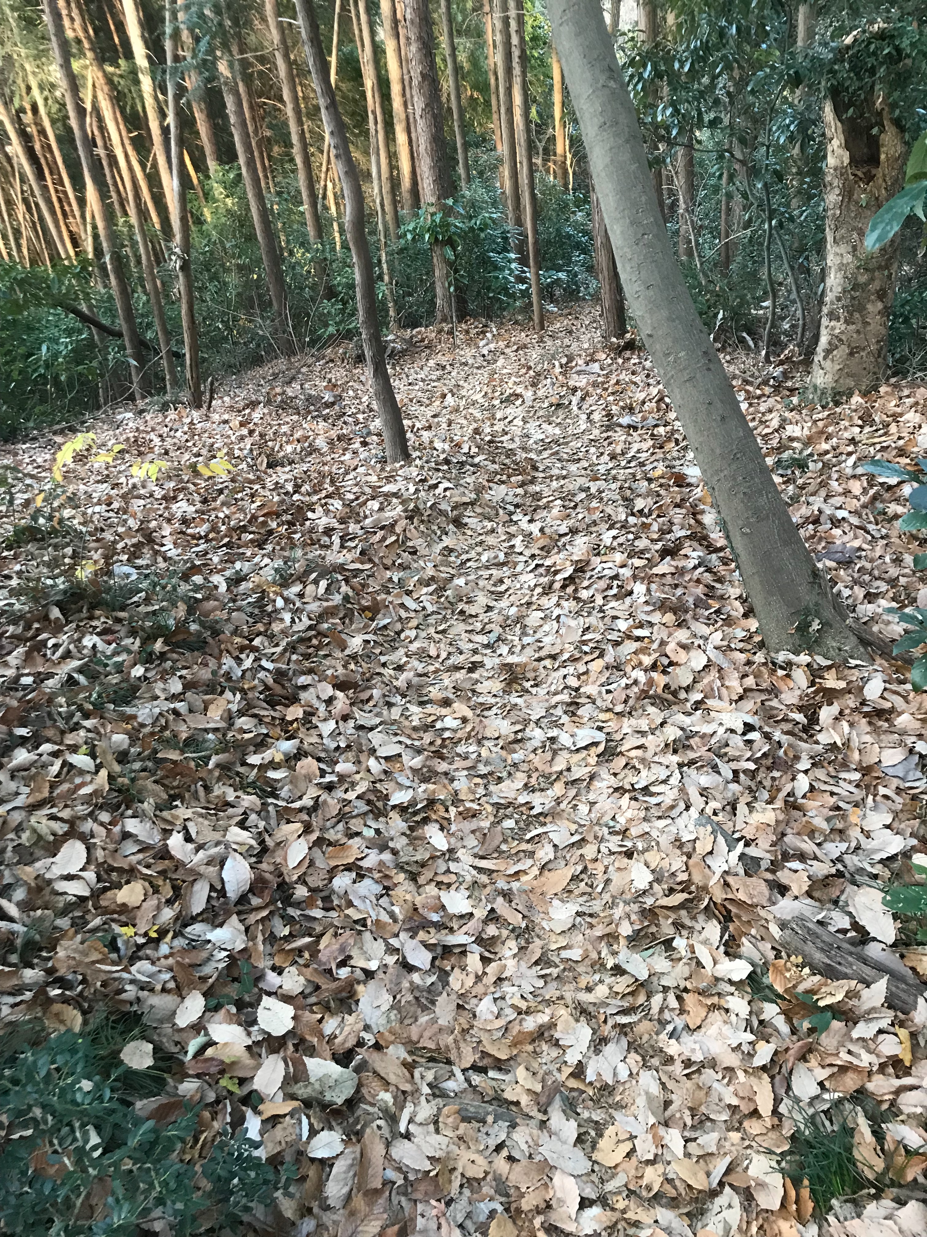 f:id:hatakofuru:20171225202451j:image