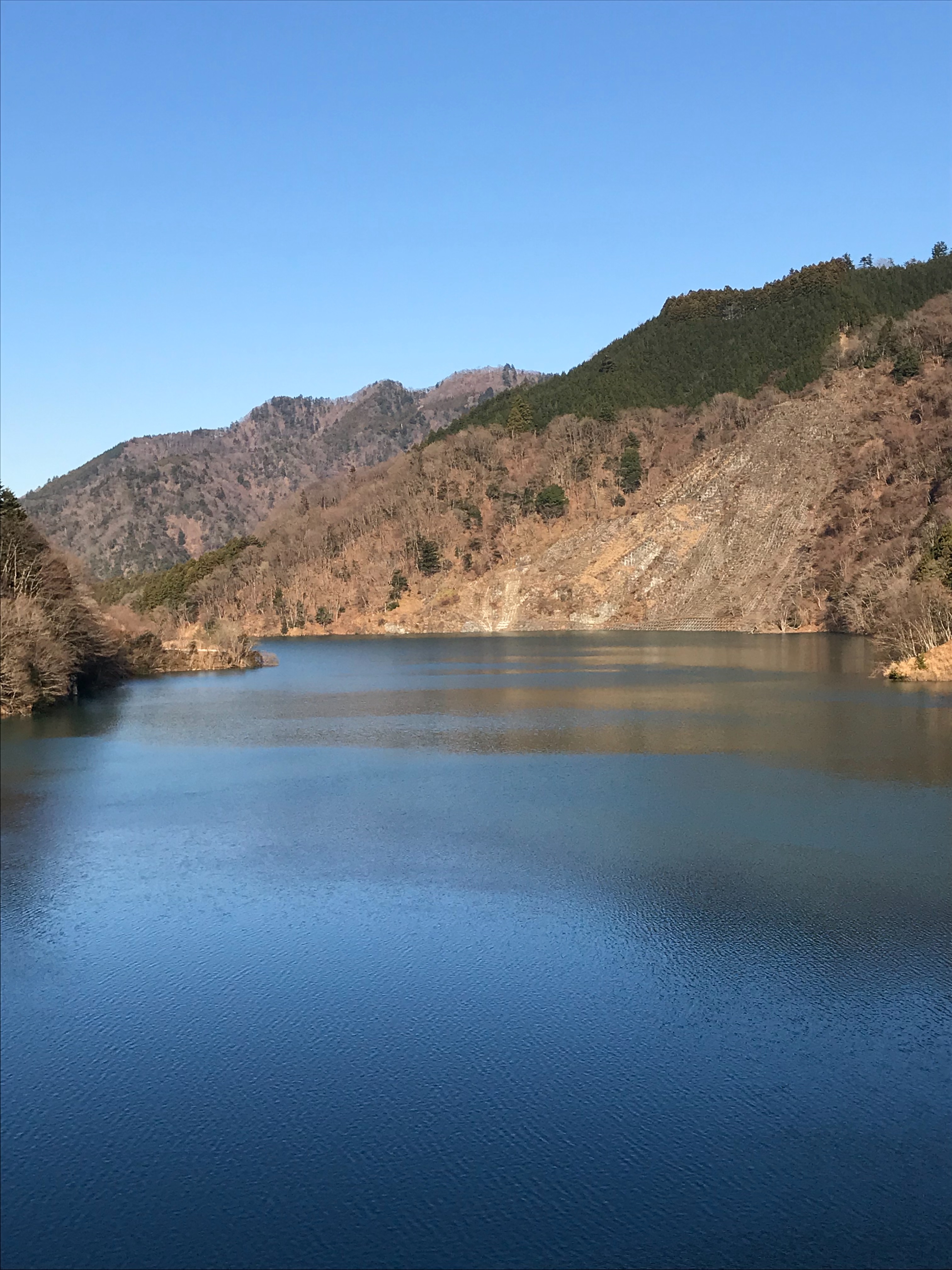 f:id:hatakofuru:20171230090511j:image