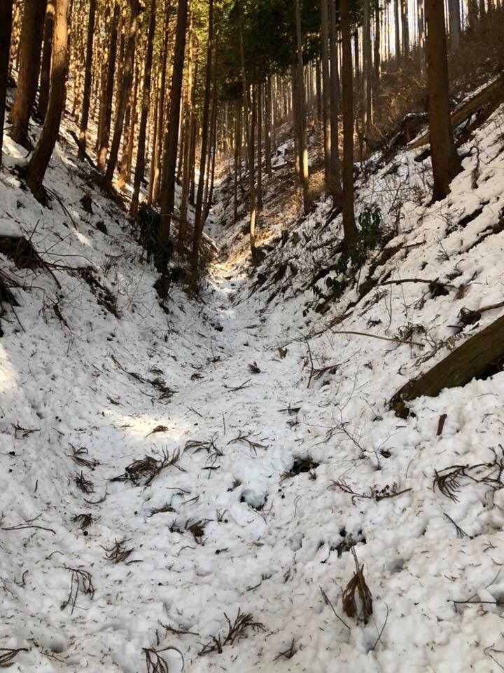 f:id:hatakofuru:20180128100708j:image f:id:hatakofuru:20180128100708j:image