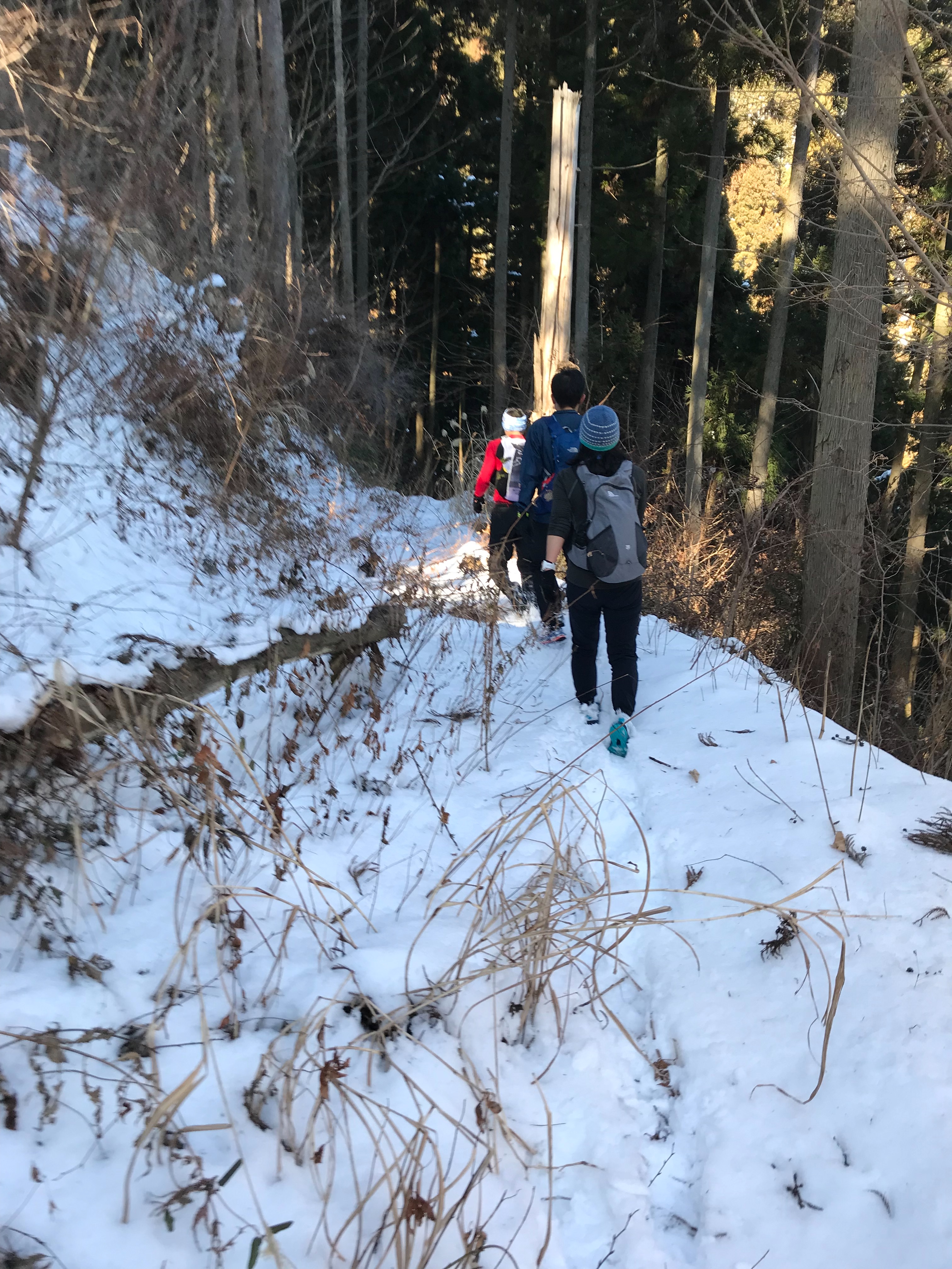f:id:hatakofuru:20180128100855j:image f:id:hatakofuru:20180128100855j:image