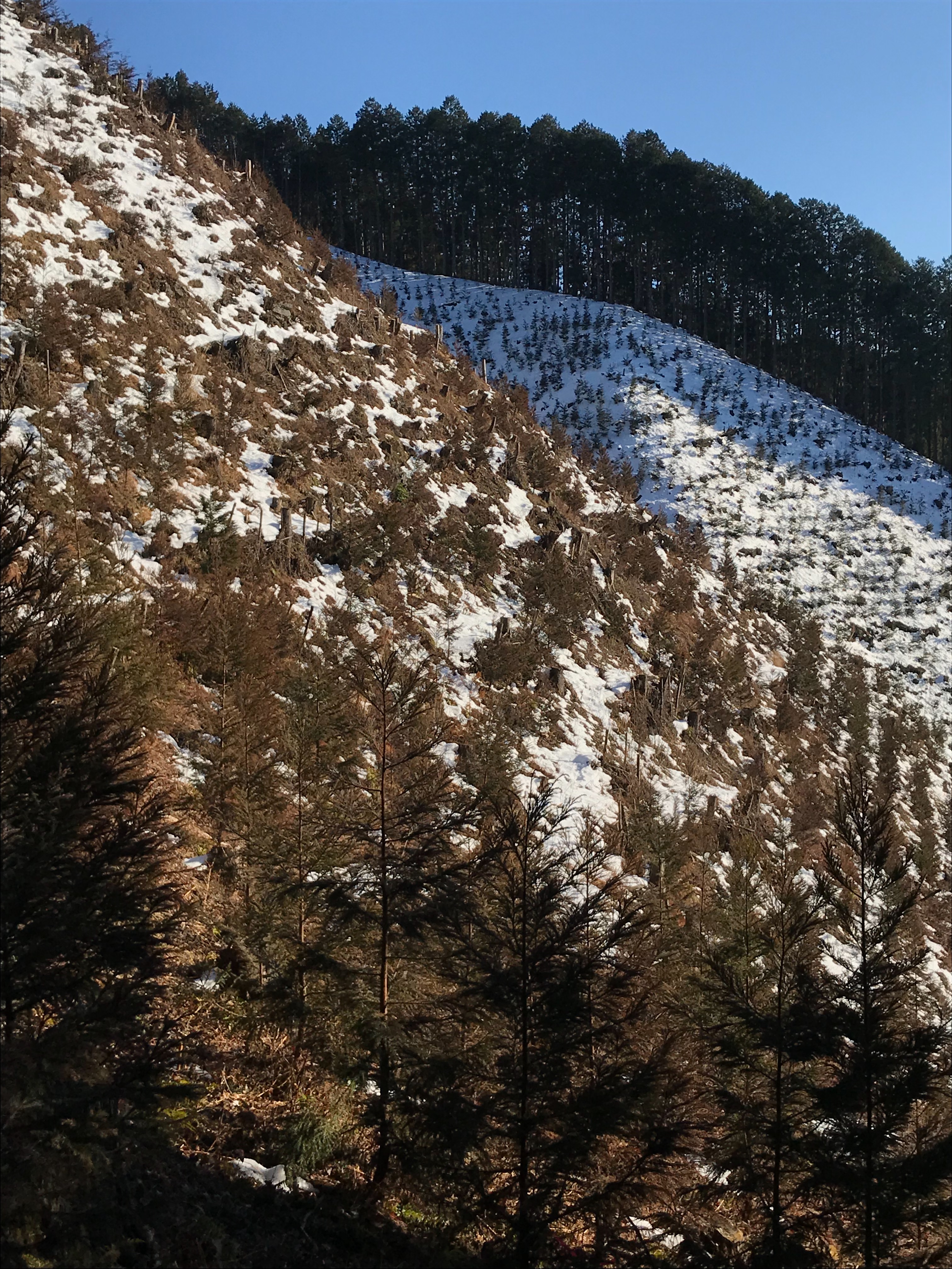 f:id:hatakofuru:20180128193422j:image f:id:hatakofuru:20180128193422j:image