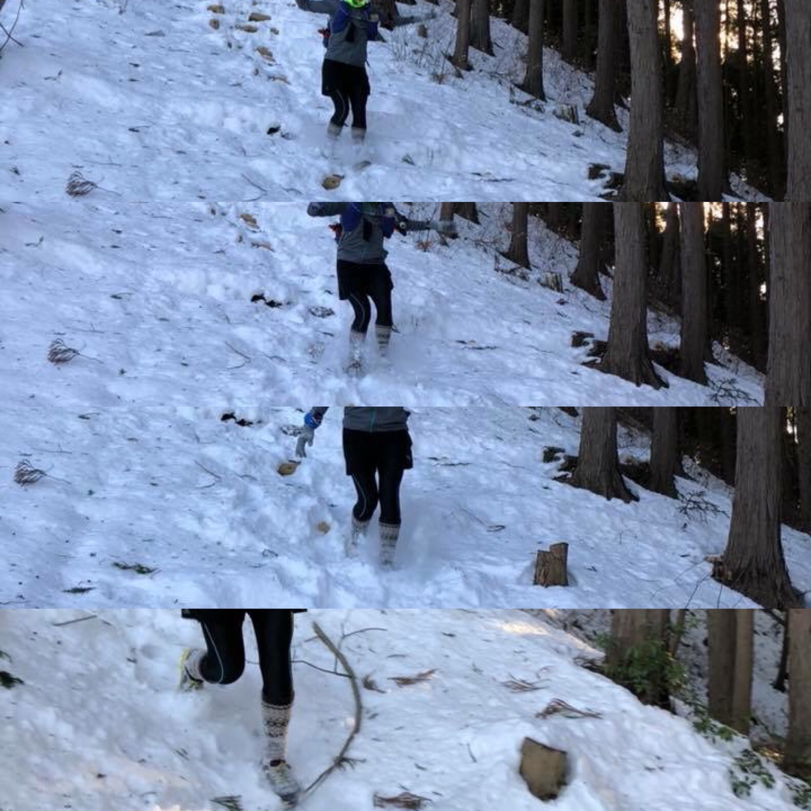 f:id:hatakofuru:20180130195325j:image f:id:hatakofuru:20180130195325j:image