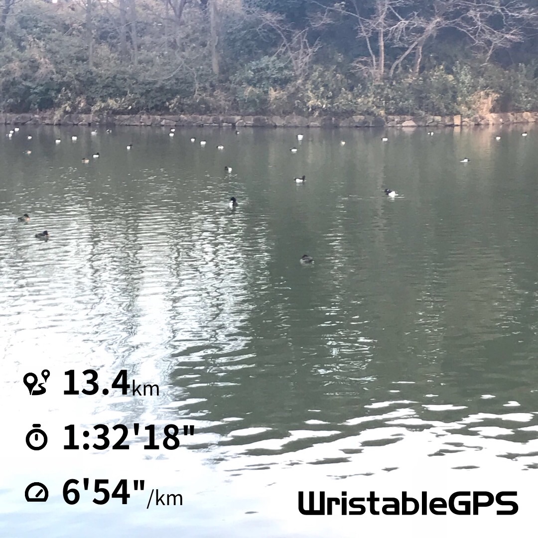 f:id:hatakofuru:20180205185108j:image f:id:hatakofuru:20180205185108j:image