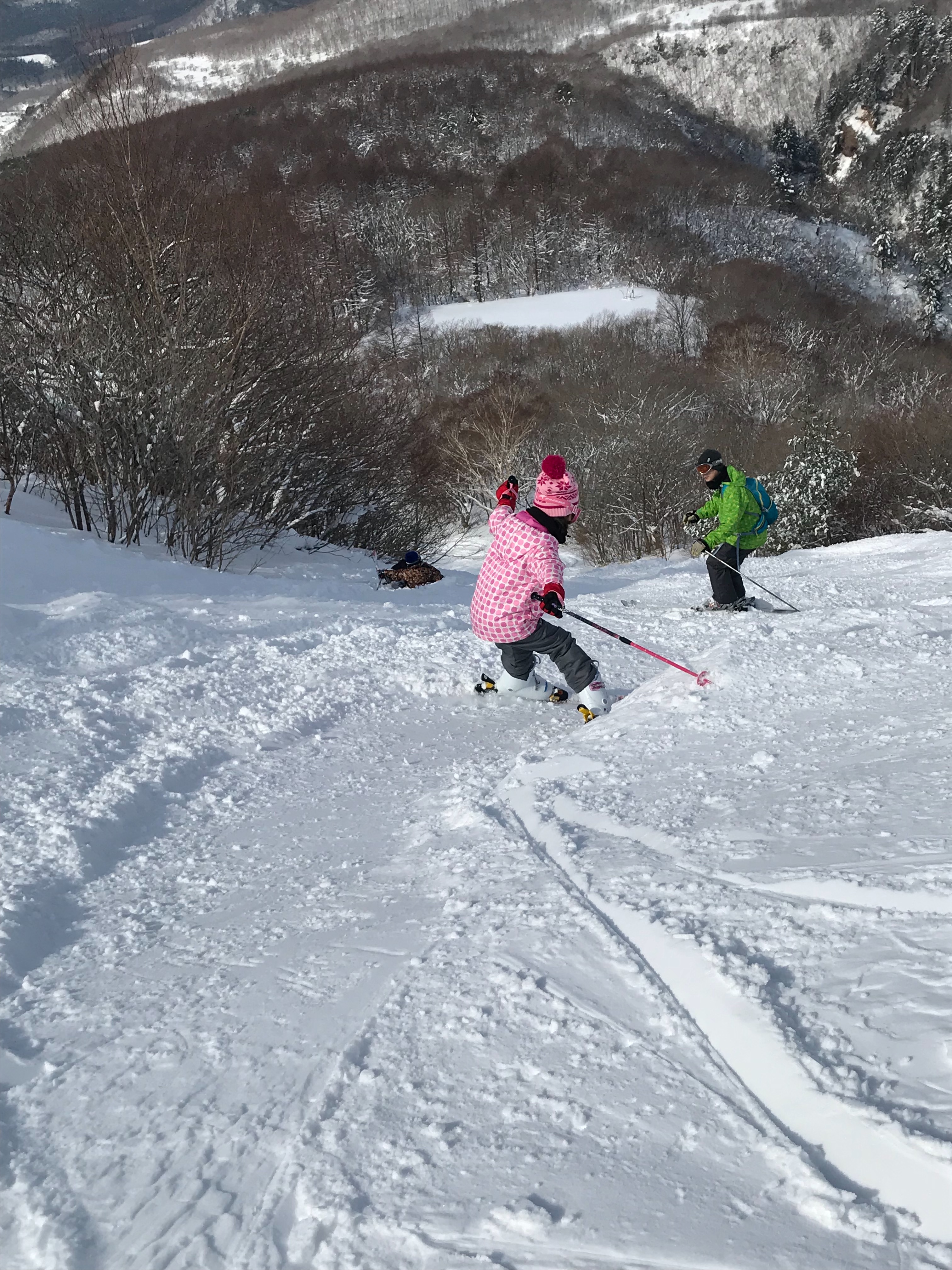 f:id:hatakofuru:20180212084324j:image