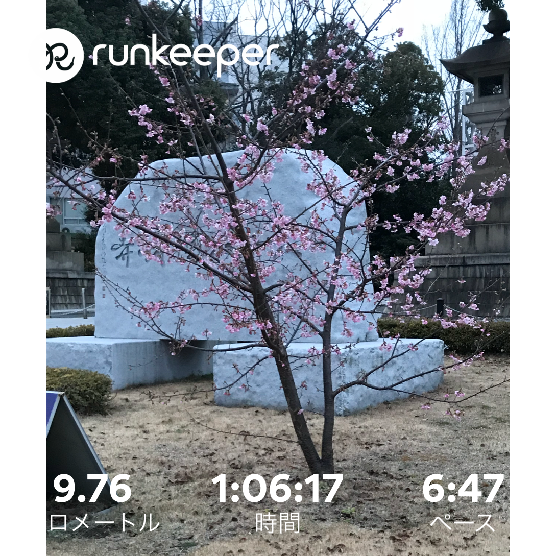 f:id:hatakofuru:20180222220840p:image f:id:hatakofuru:20180222220840p:image