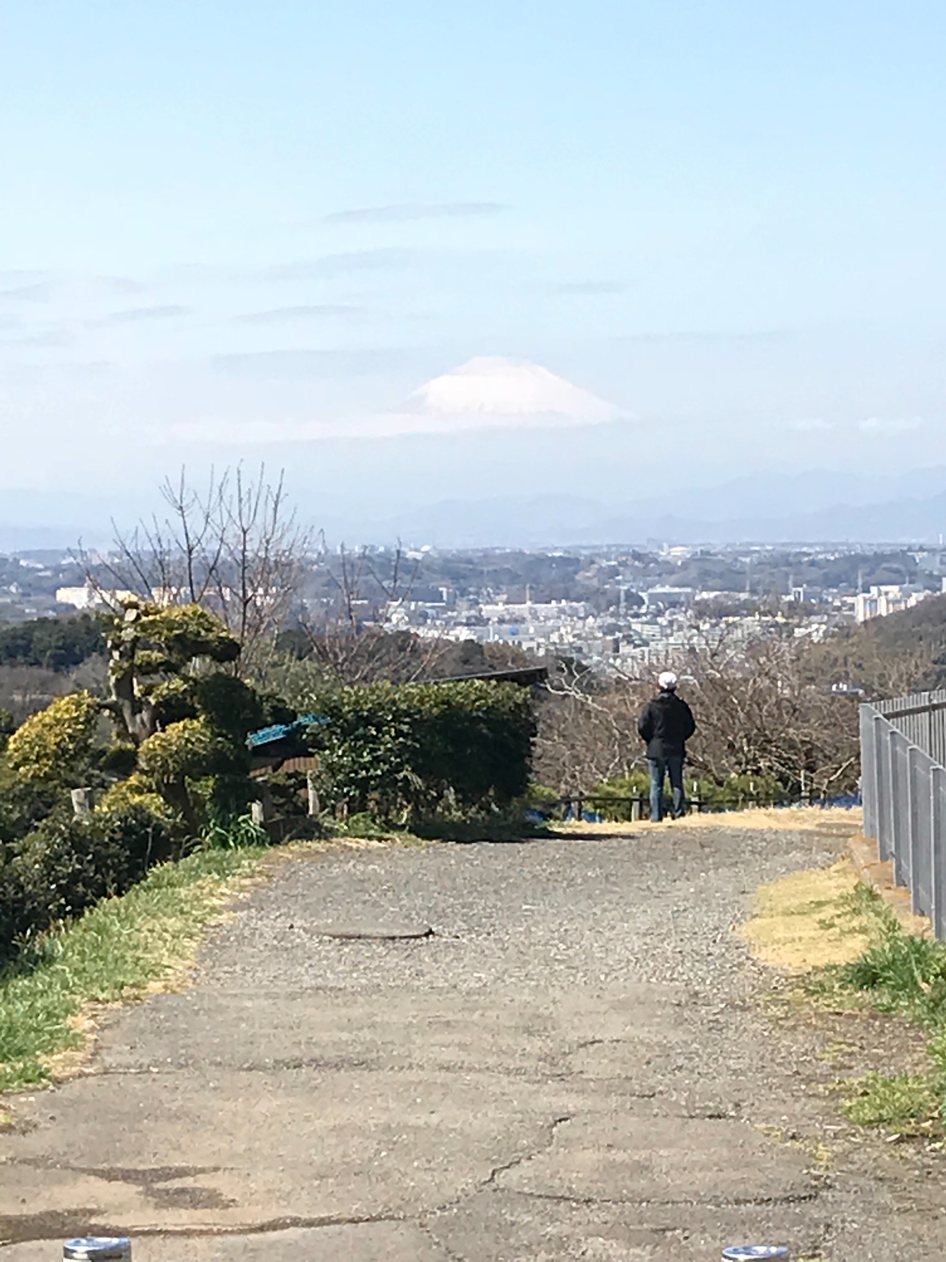 f:id:hatakofuru:20180318202144j:image f:id:hatakofuru:20180318202144j:image