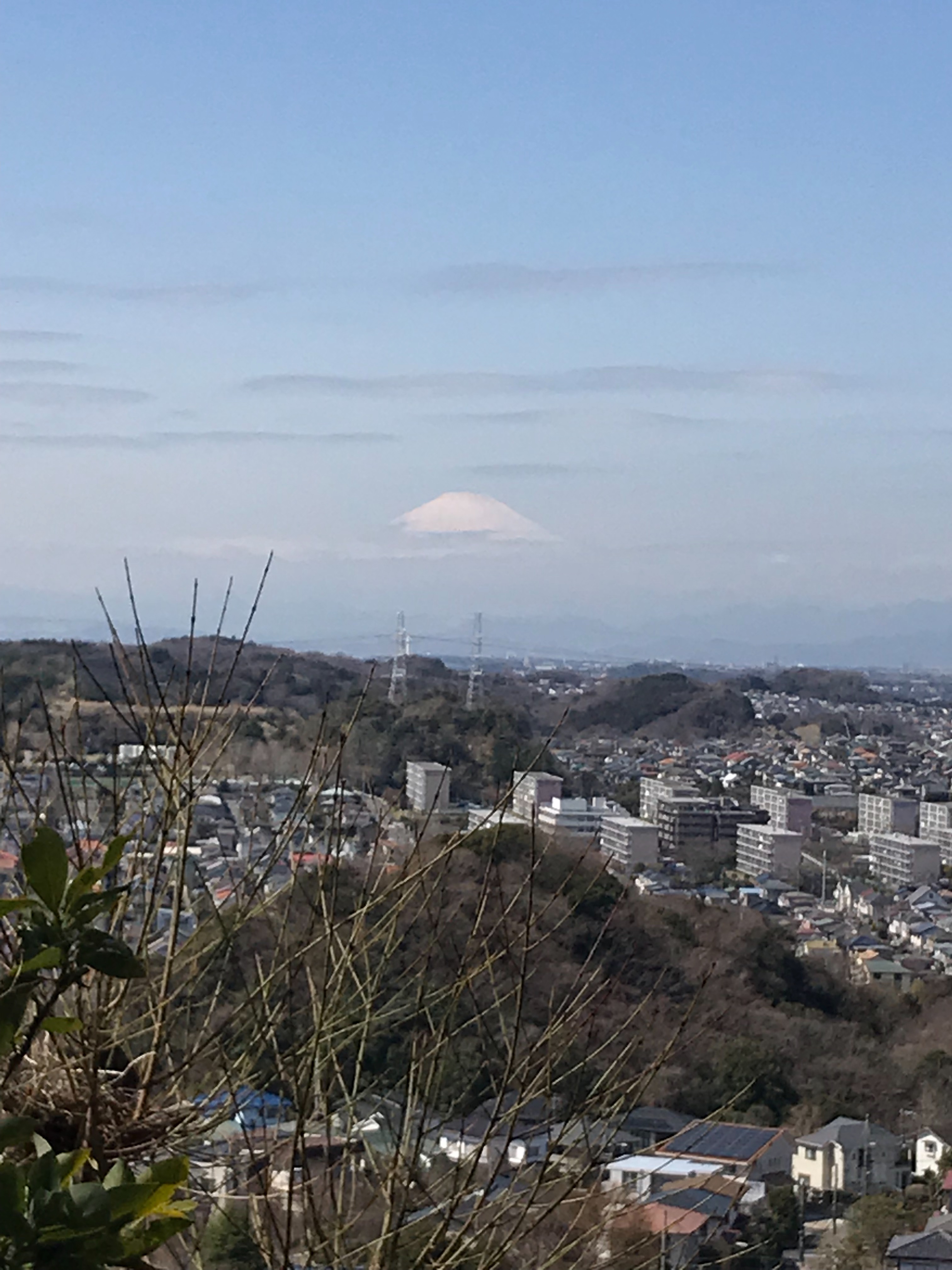 f:id:hatakofuru:20180318202239j:image f:id:hatakofuru:20180318202239j:image
