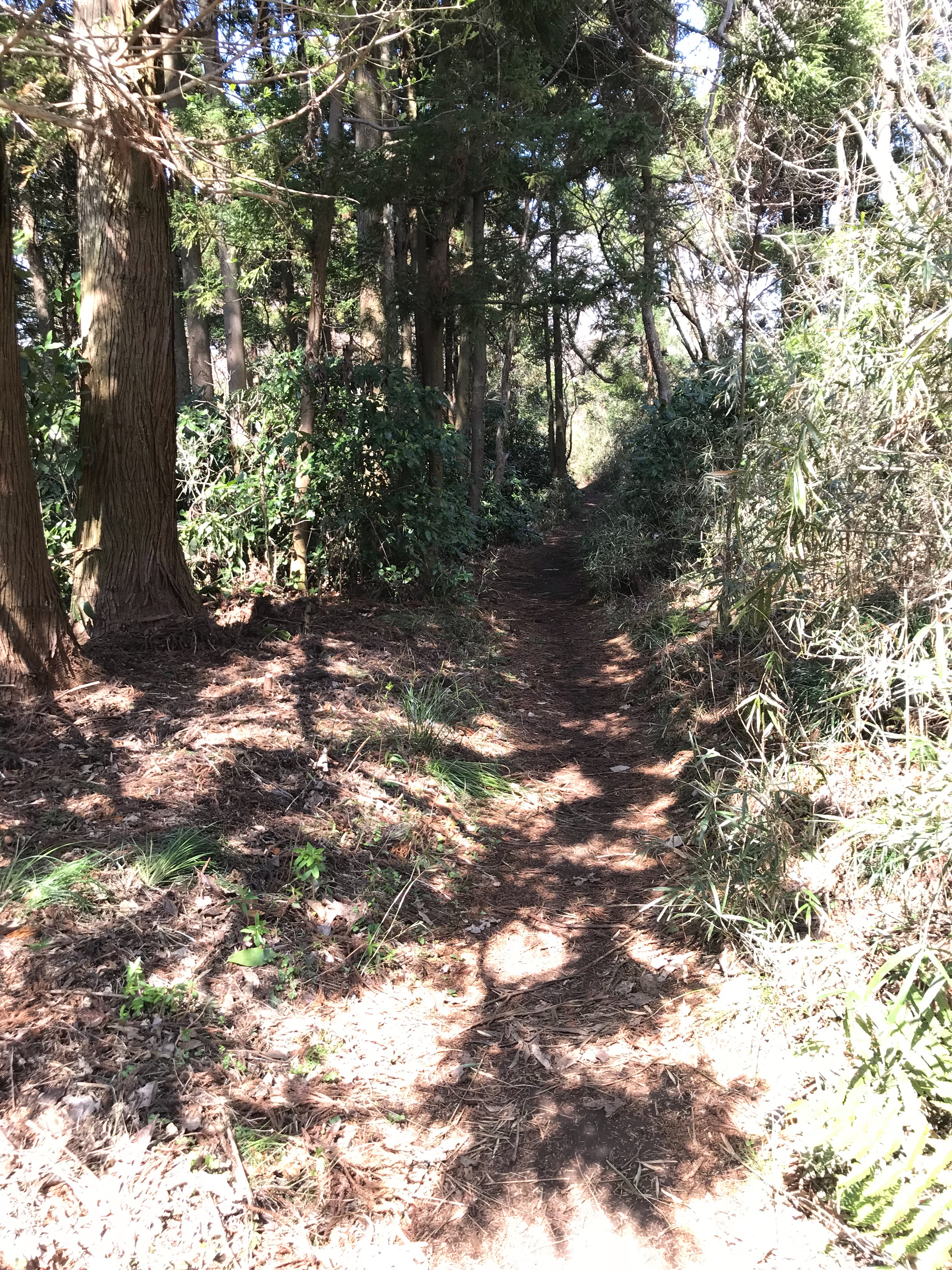 f:id:hatakofuru:20180318202520j:image f:id:hatakofuru:20180318202520j:image