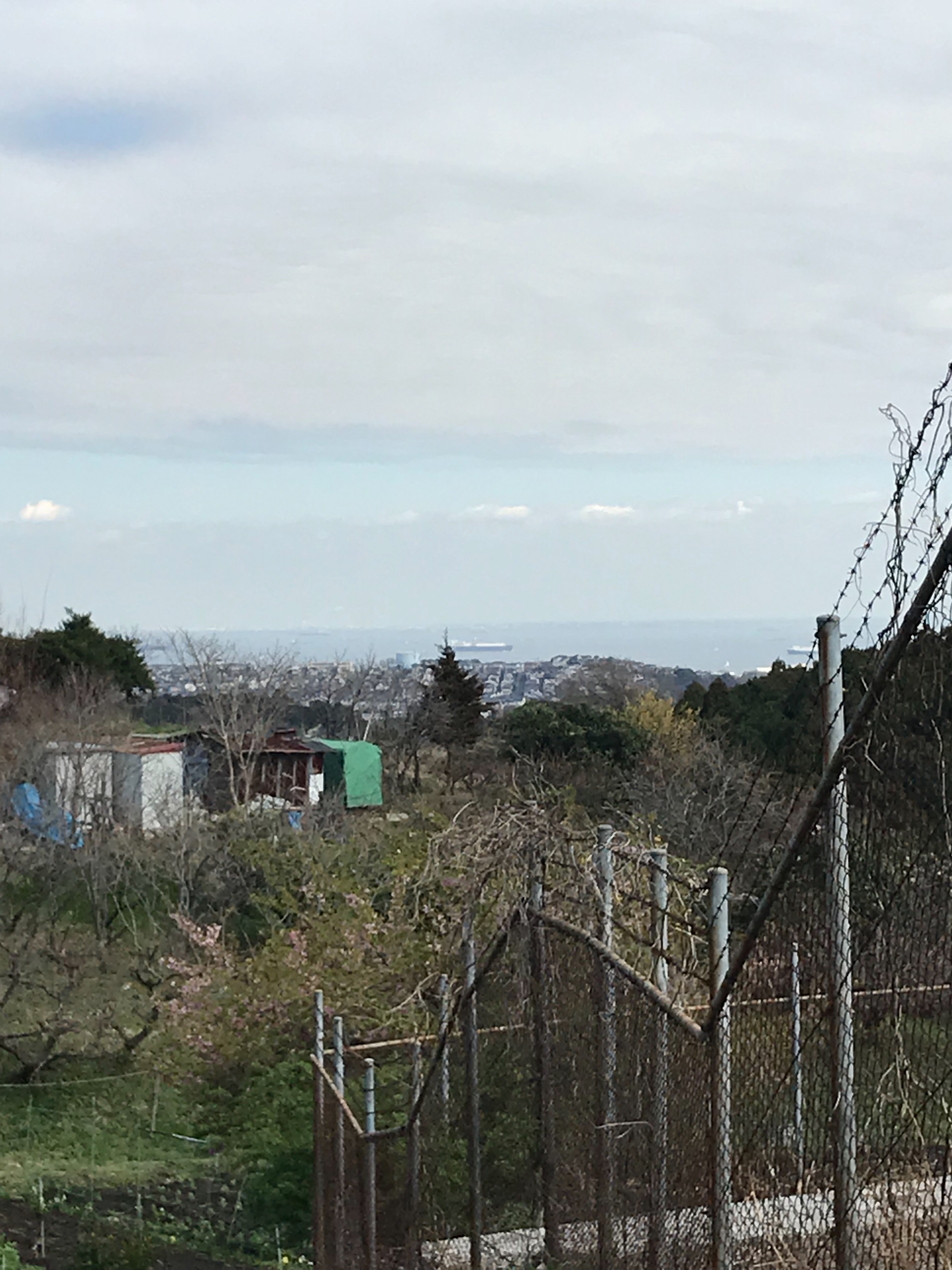 f:id:hatakofuru:20180318203032j:image f:id:hatakofuru:20180318203032j:image