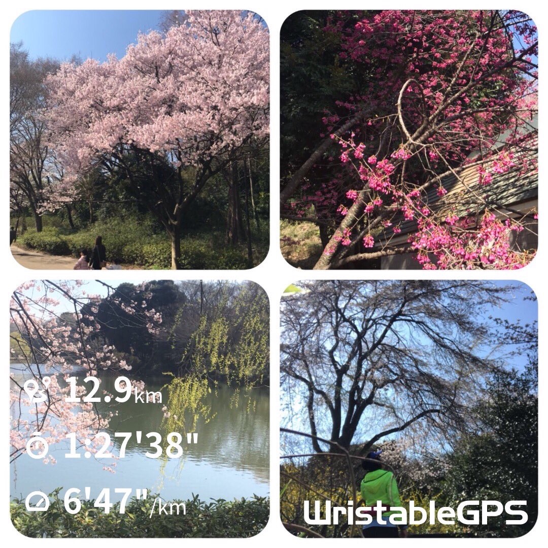 f:id:hatakofuru:20180330074816j:image