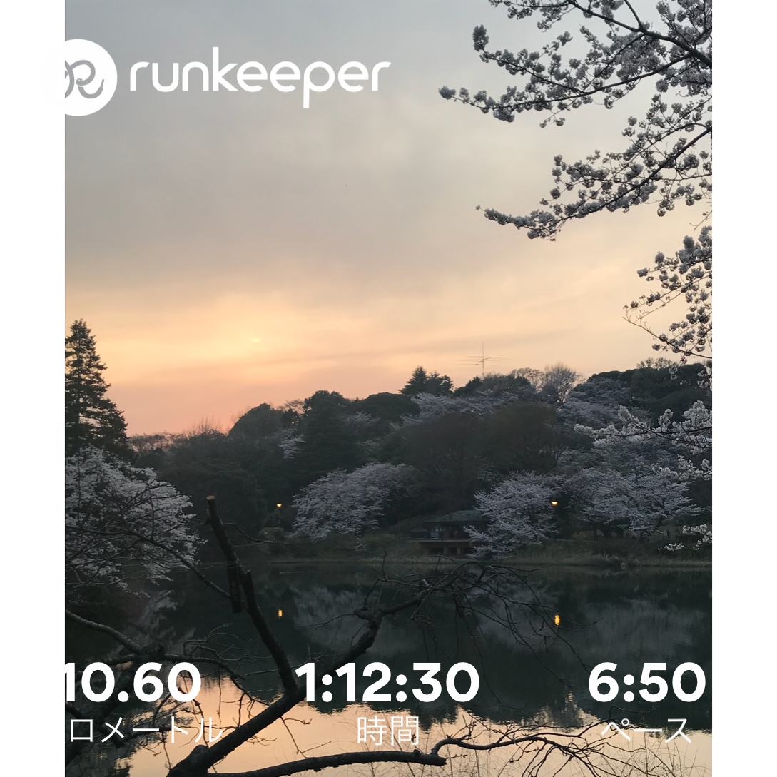 f:id:hatakofuru:20180330074824p:image