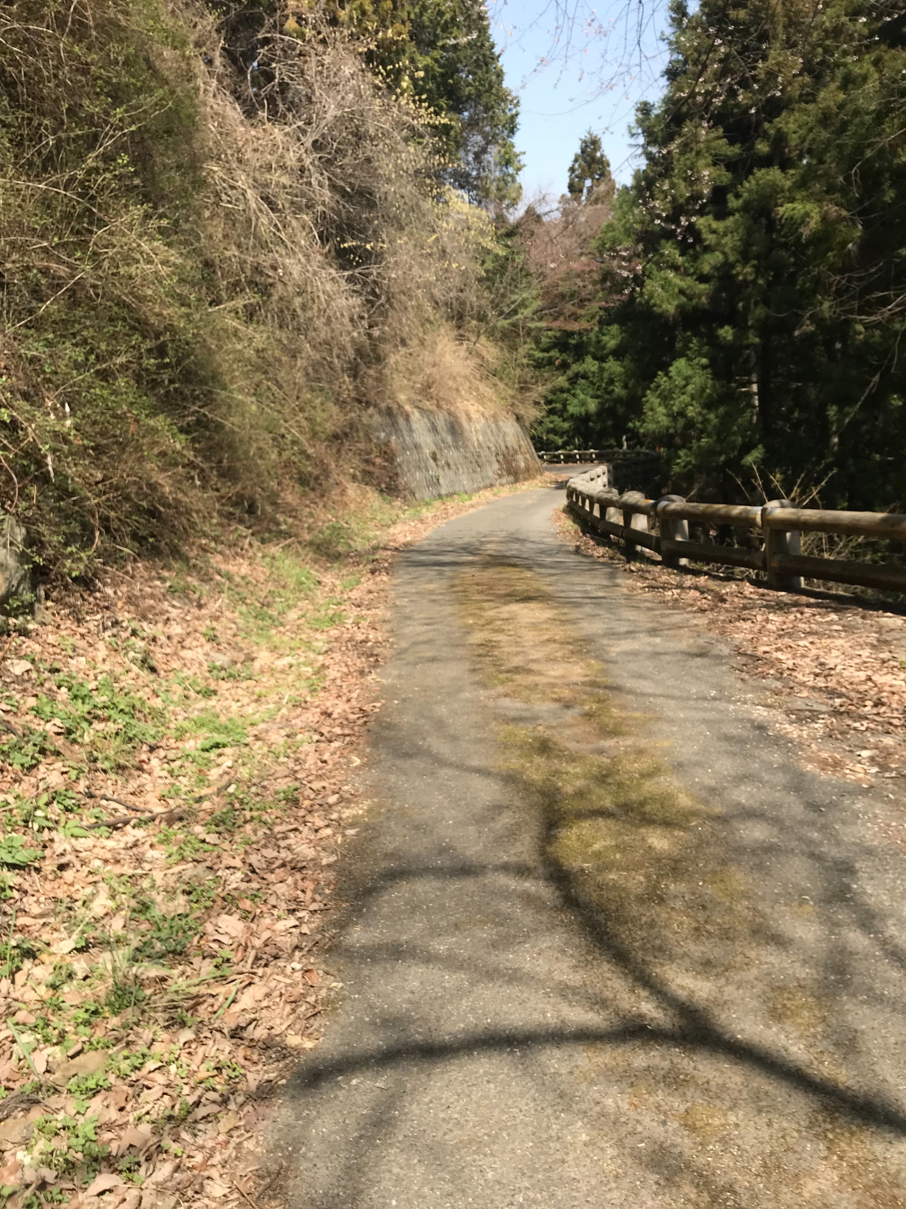 f:id:hatakofuru:20180402220919j:image f:id:hatakofuru:20180402220919j:image