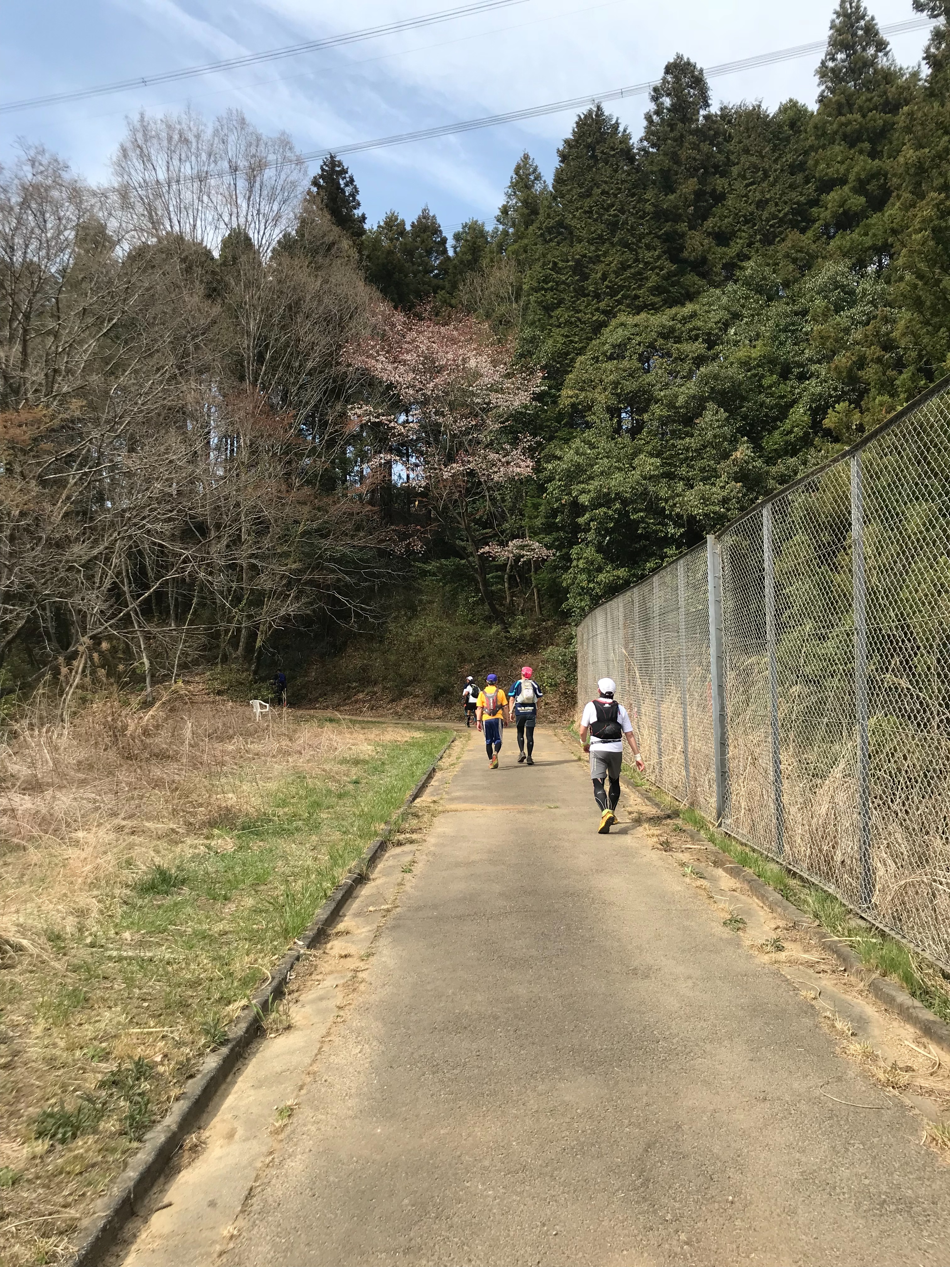 f:id:hatakofuru:20180403204214j:image