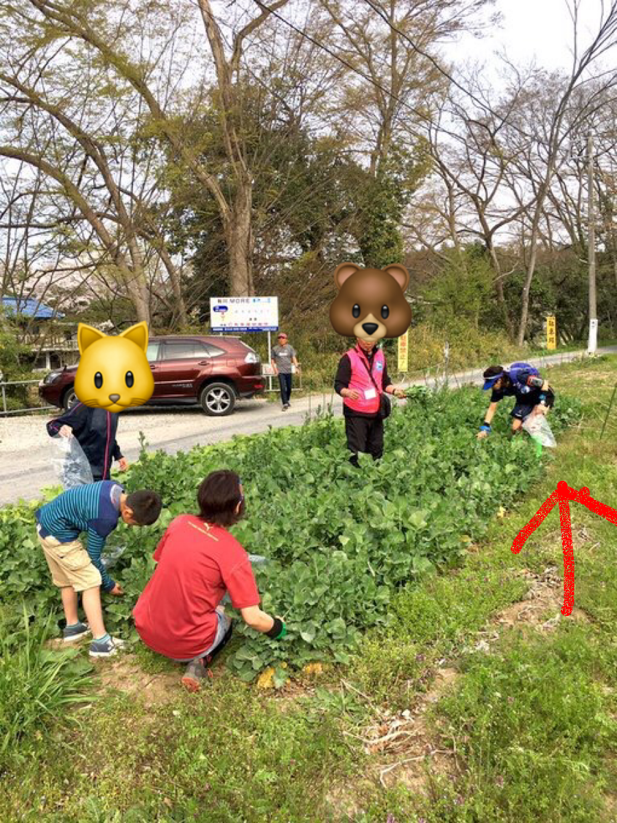 f:id:hatakofuru:20180404083521p:image