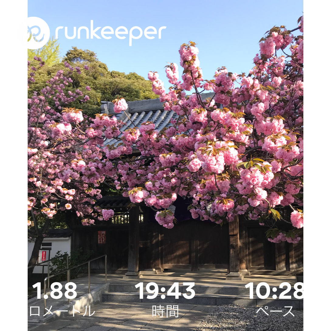 f:id:hatakofuru:20180412133603p:image