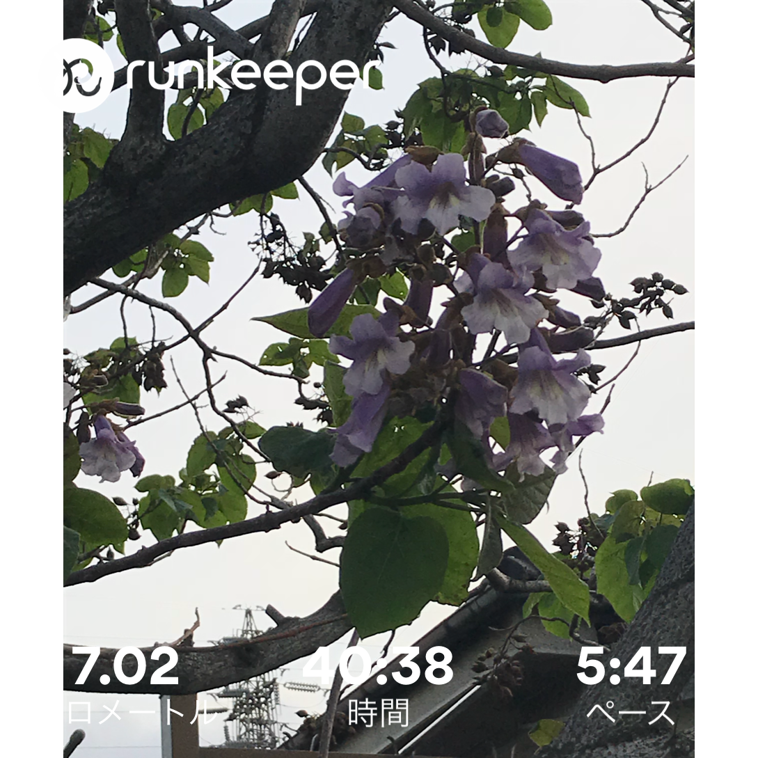 f:id:hatakofuru:20180422054644p:image f:id:hatakofuru:20180422054644p:image