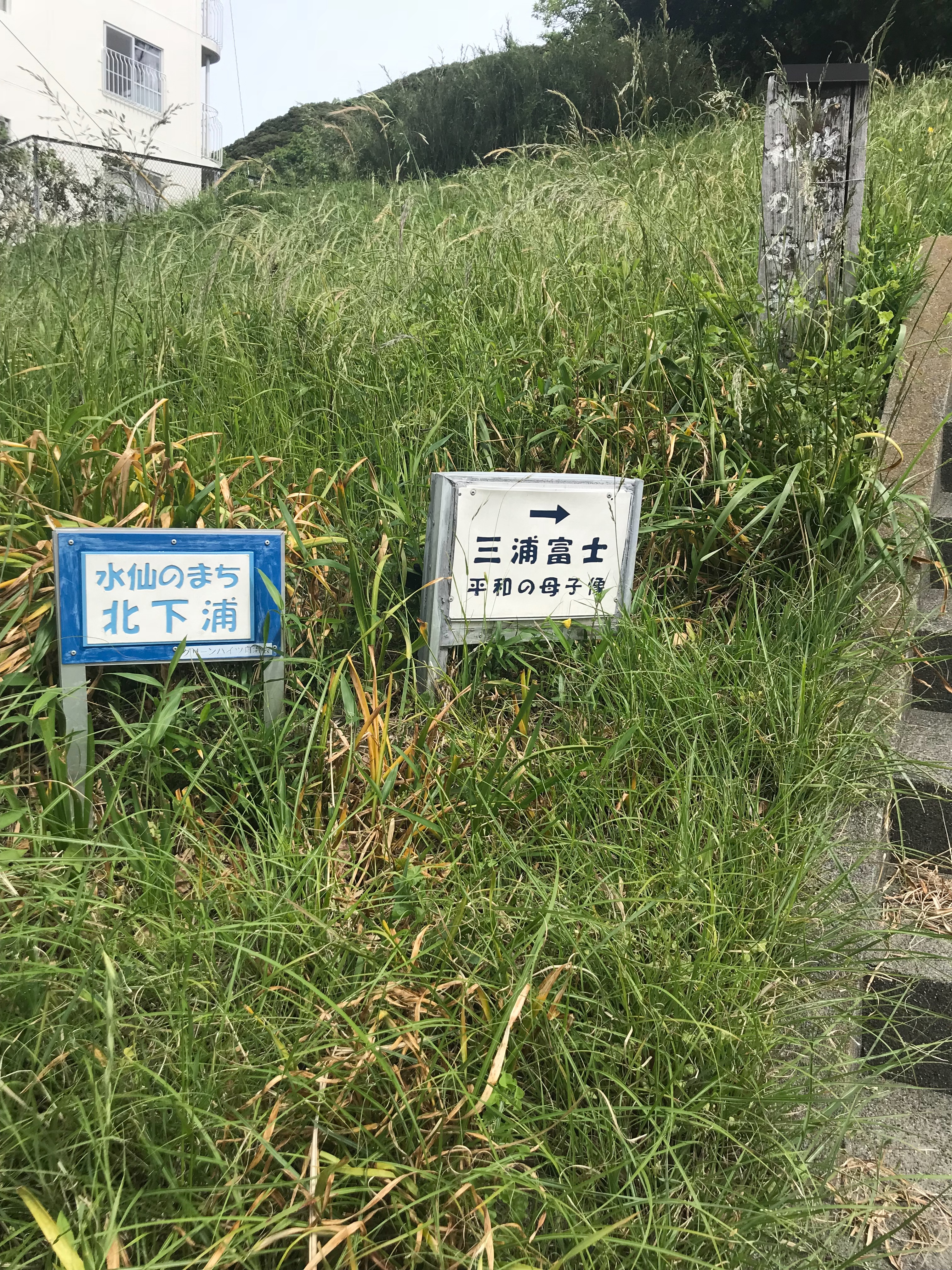 f:id:hatakofuru:20180428002511j:image