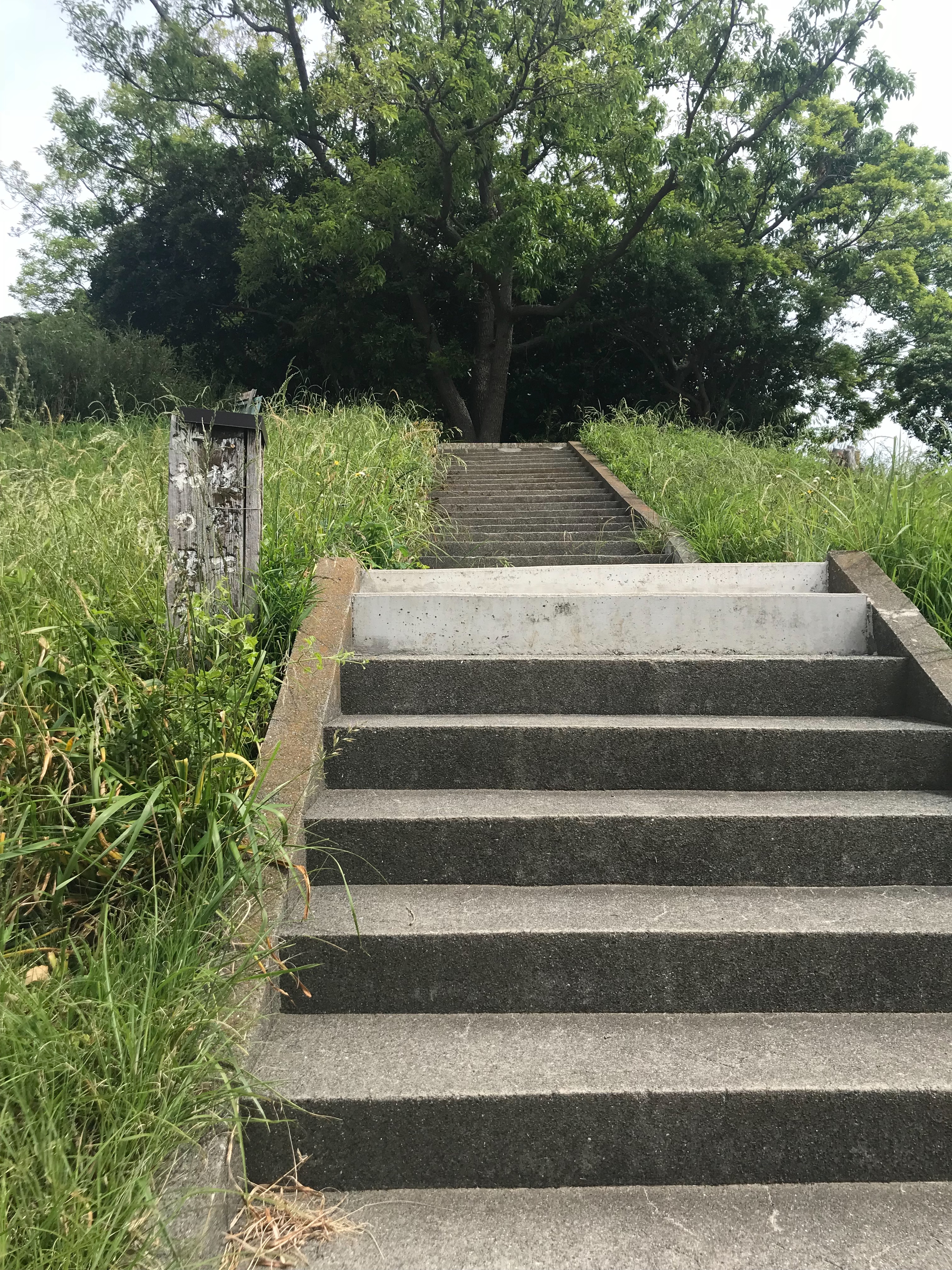 f:id:hatakofuru:20180428002542j:image