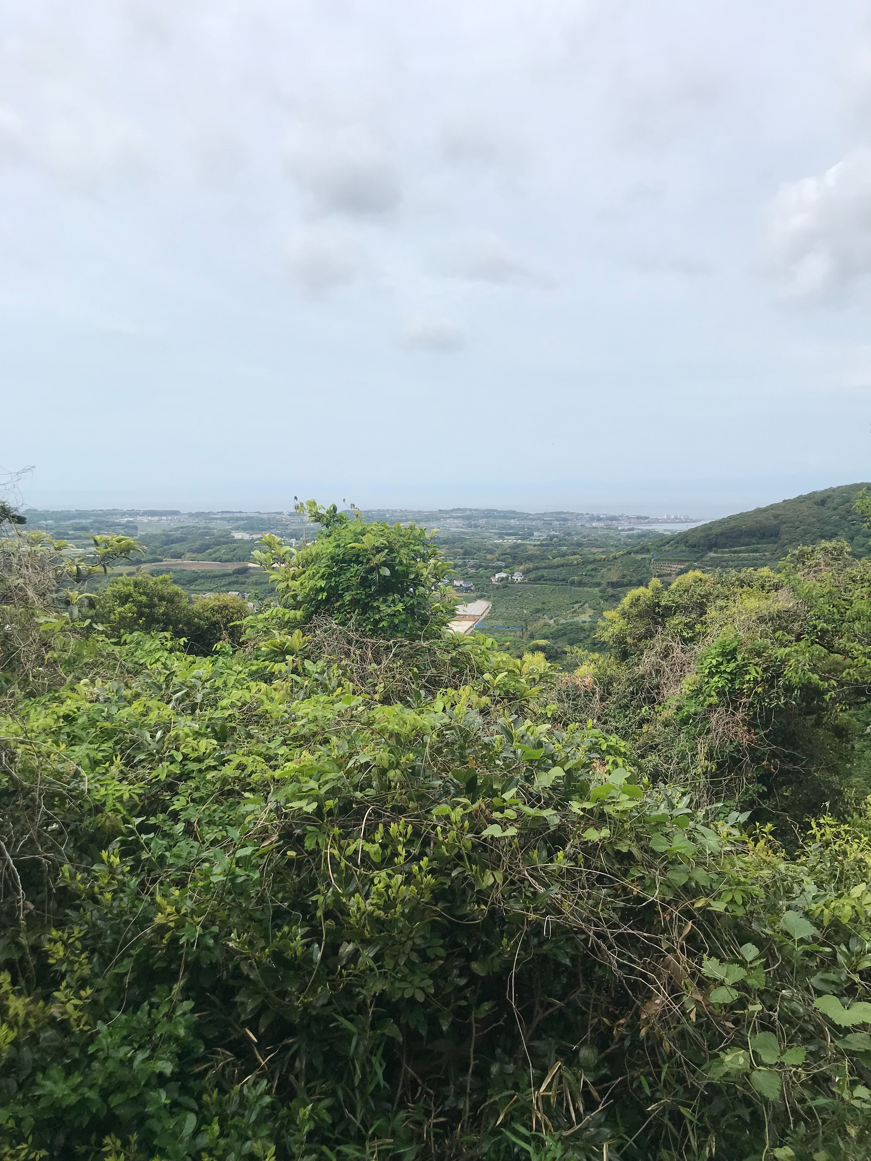 f:id:hatakofuru:20180428002940j:image