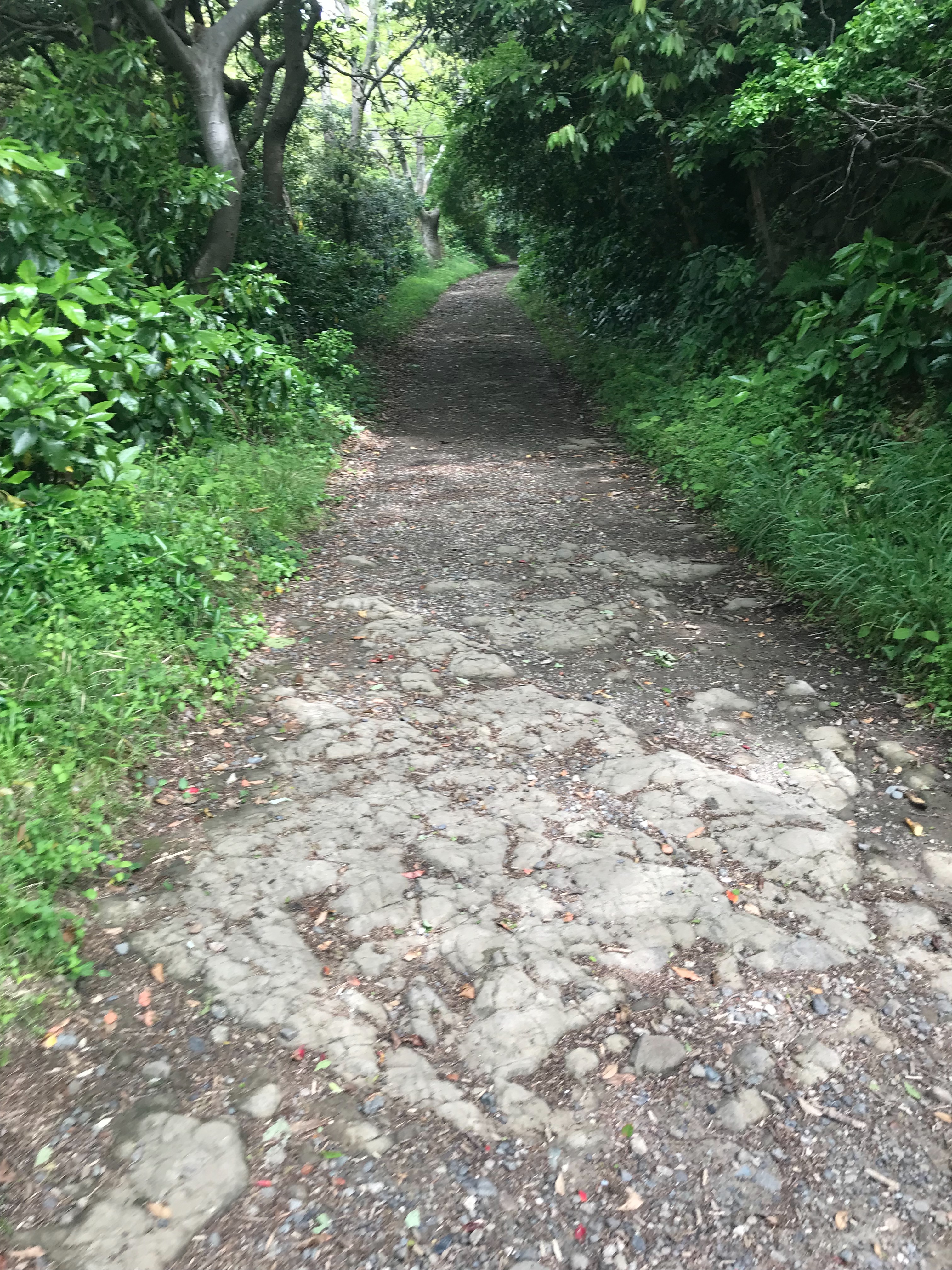 f:id:hatakofuru:20180428005534j:image